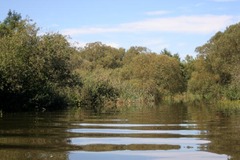 Killikus&reg; Fotographie